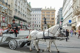 Referenzen Österreich