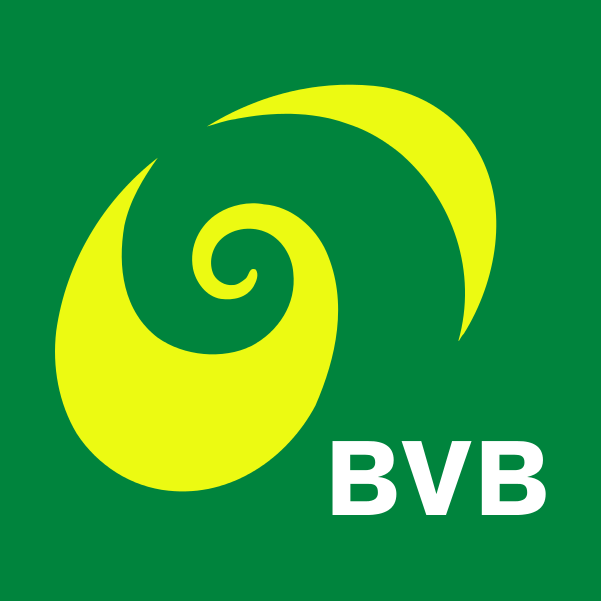 BVB Referenz